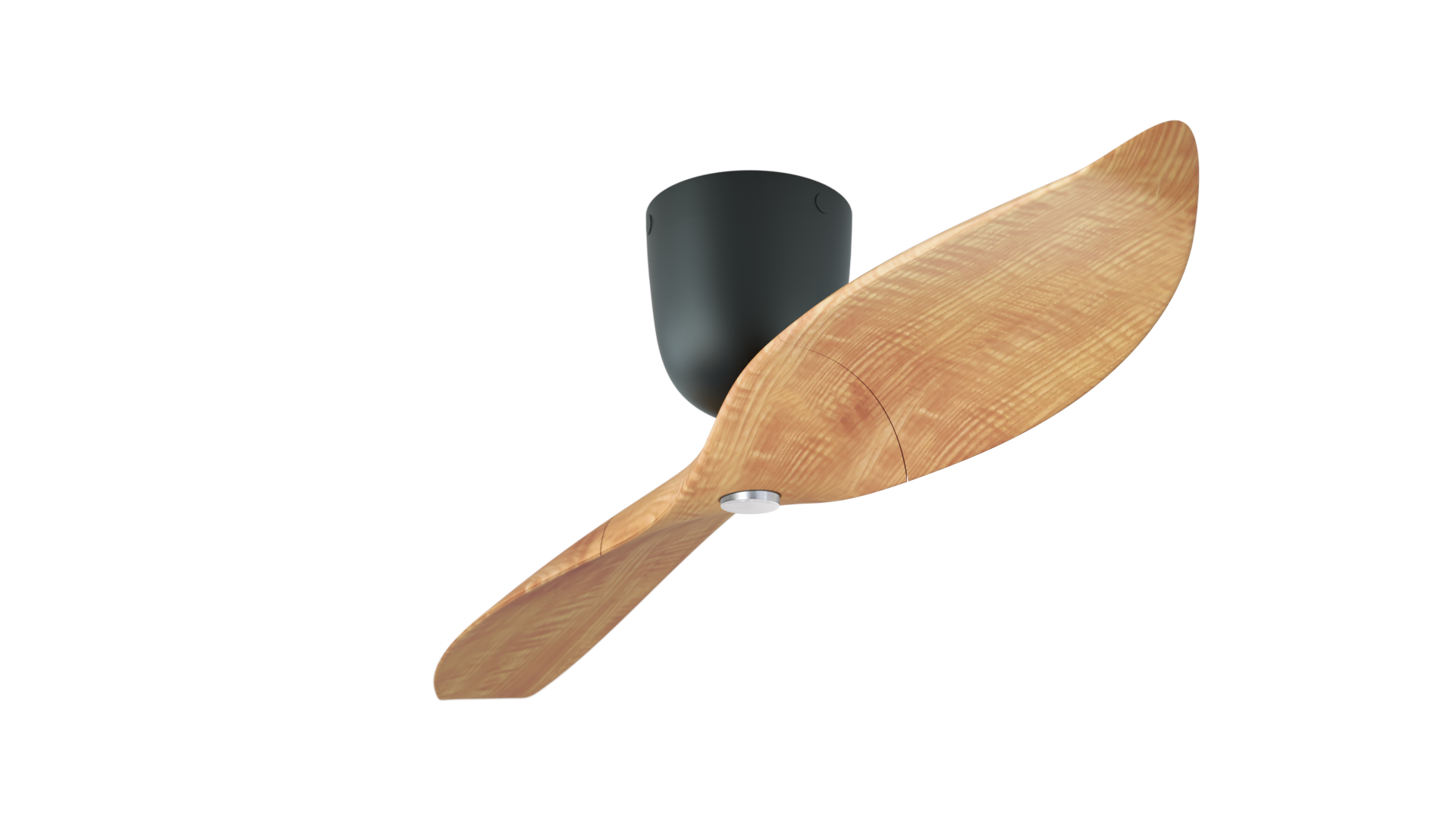 Aeratron AE+2 in Light Timber Finish/Black with Light