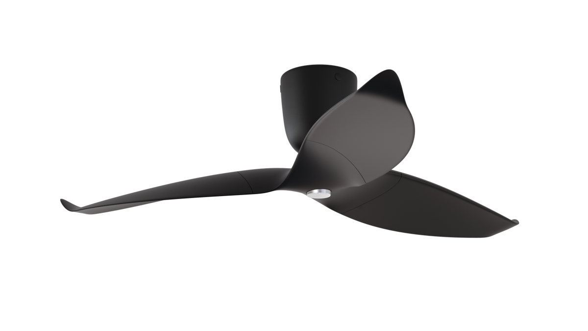 Aeratron AE+3 in Black with Light