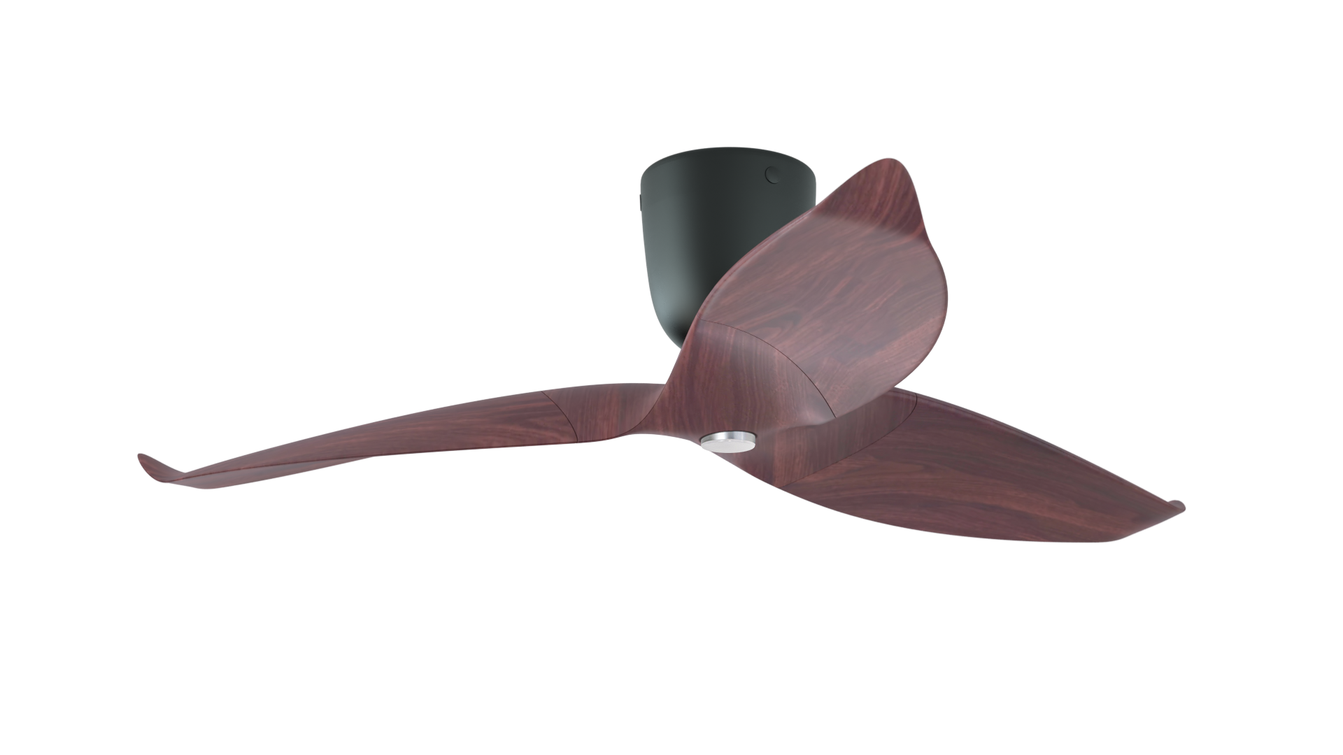 Aeratron AE+3 in Dark Timber Finish with Light