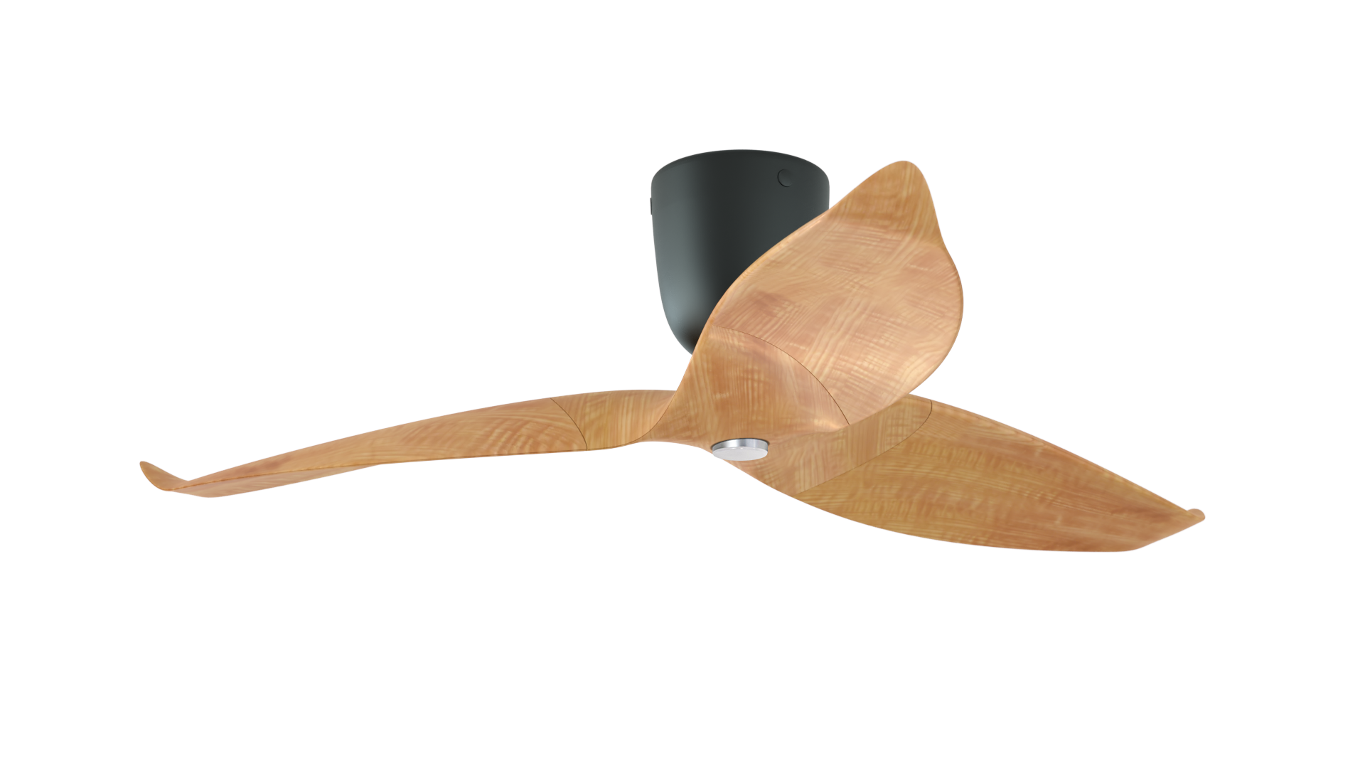 Aeratron AE+3 in Light Timber Finish/Black with Light