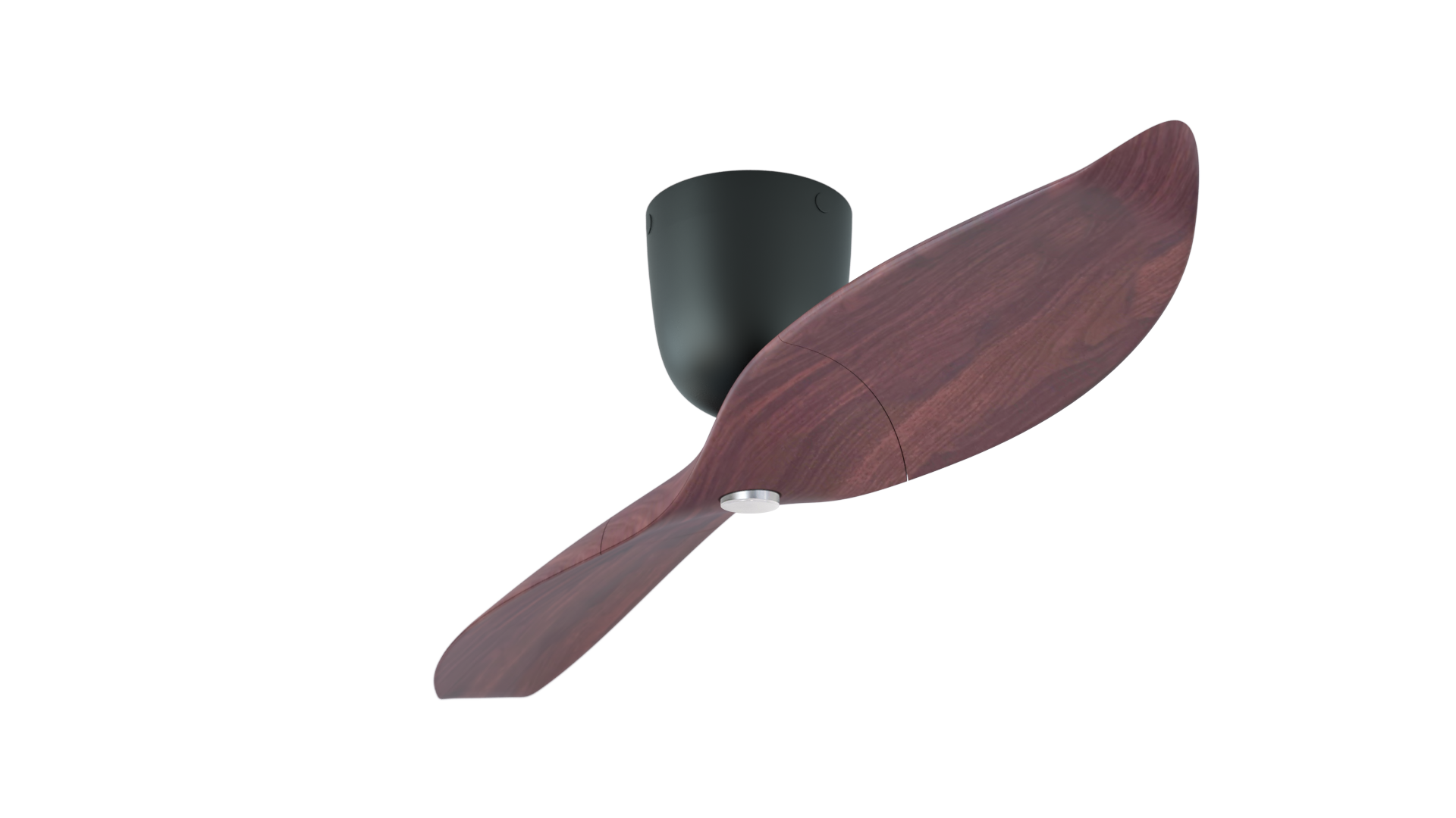 Aeratron AE+2 in Dark Timber Finish with Light