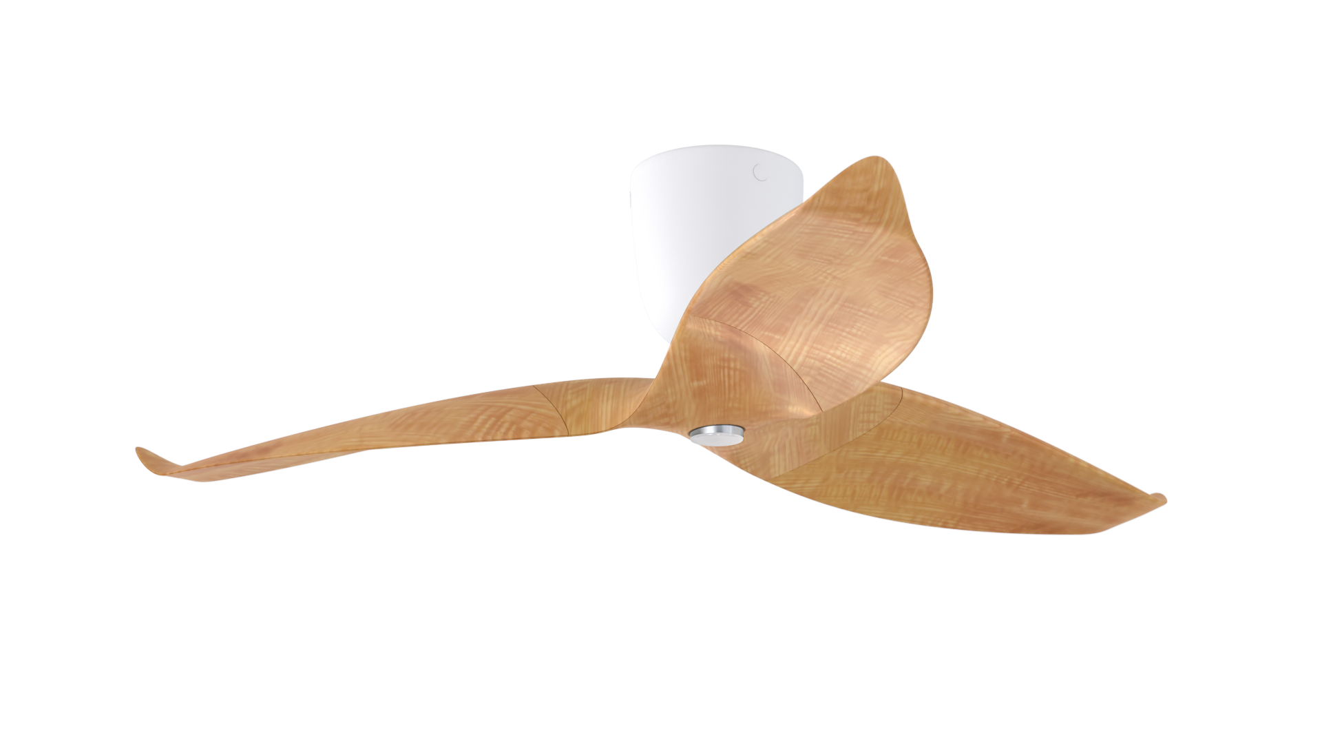 Aeratron AE+3 in Light Timber Finish/White with Light